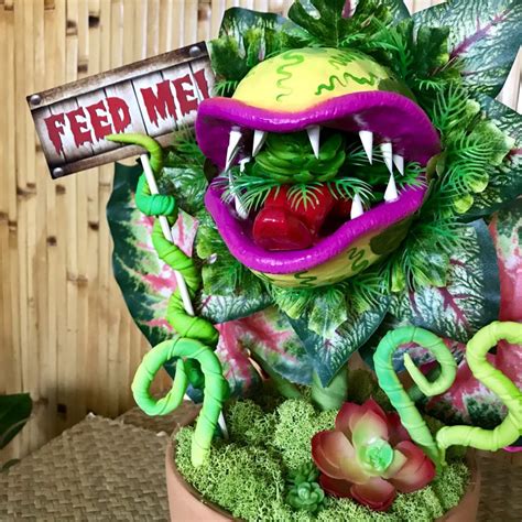 little shop of horrors lottery|little shop of horrors plant name.